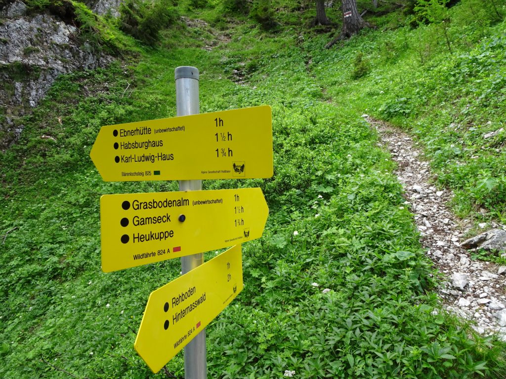 Crossing between Wildfährte and Bärenlochsteig