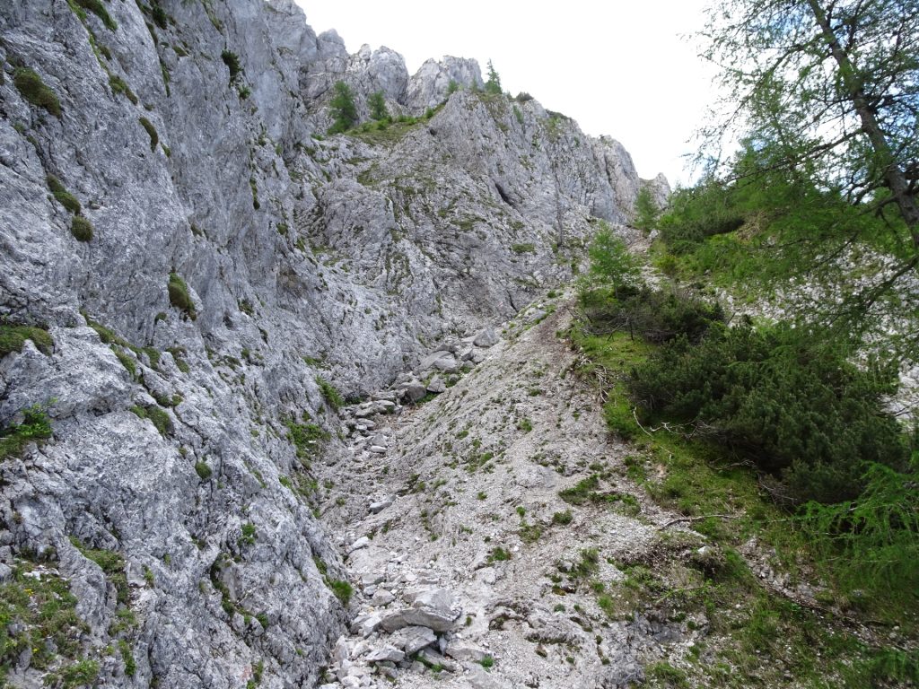 Upper part of Wildfährte