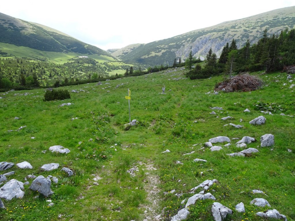 Follow the trail towards Habsburghaus (keep straight ahead)