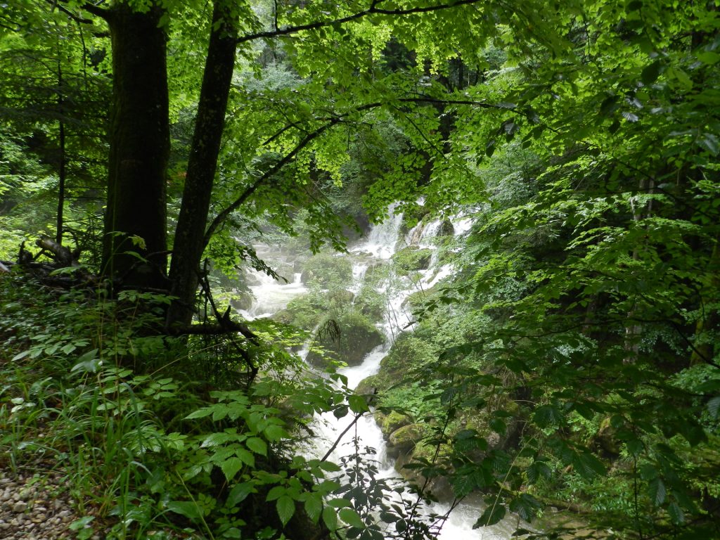 Waterfall at the trail towards Bärenschützklamm