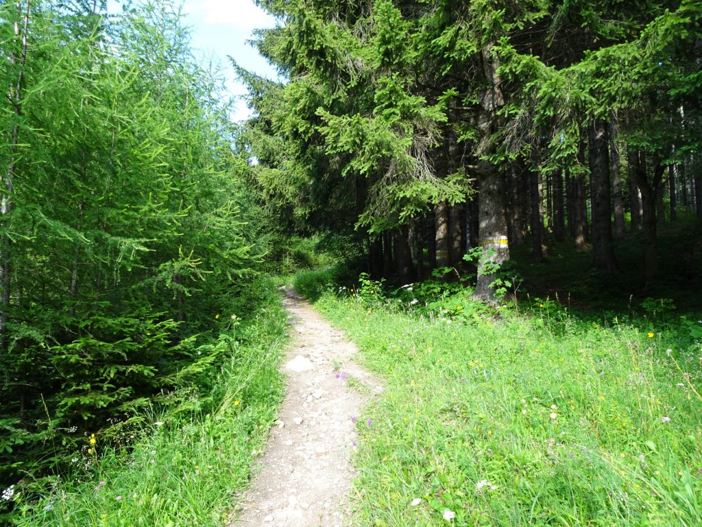 First meters on the "Reißtalersteig"