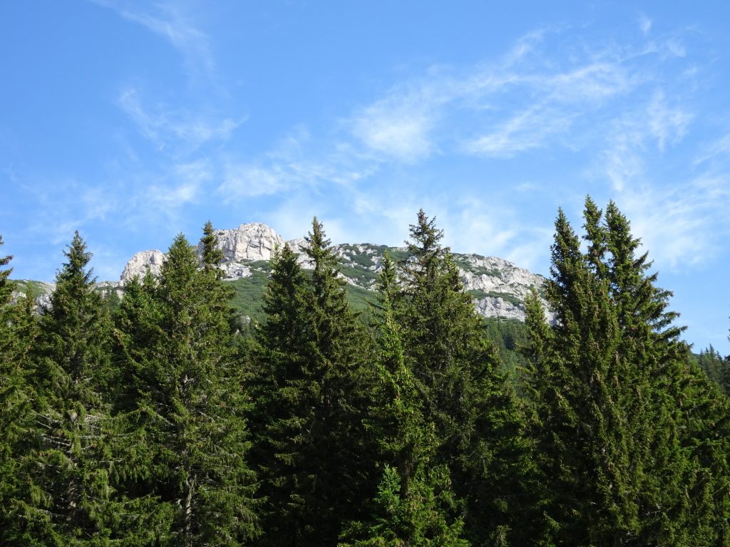 View towards Rax from Reißtalersteig