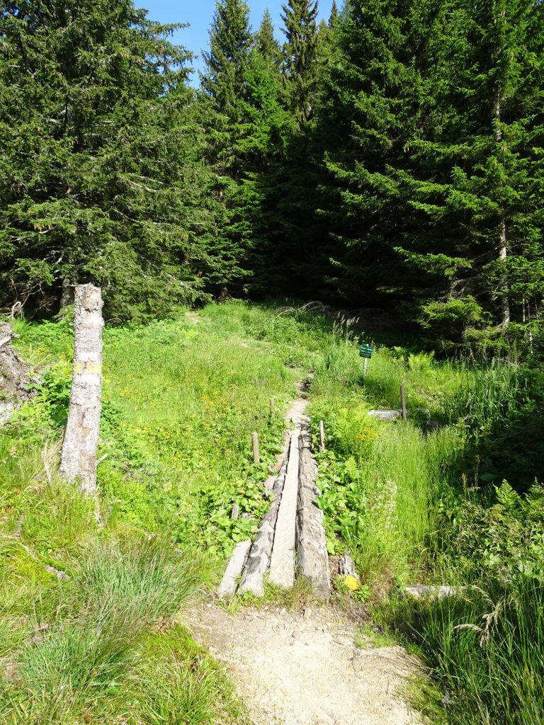 Path towards "Reißtalerhütte"