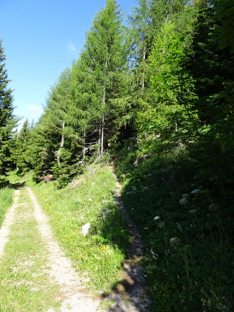 Follow the small trail right upwards (Reißtalersteig)
