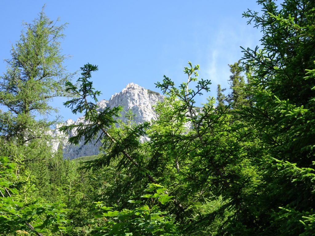 View from trail