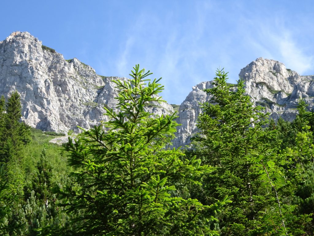 View from trail towards Rax