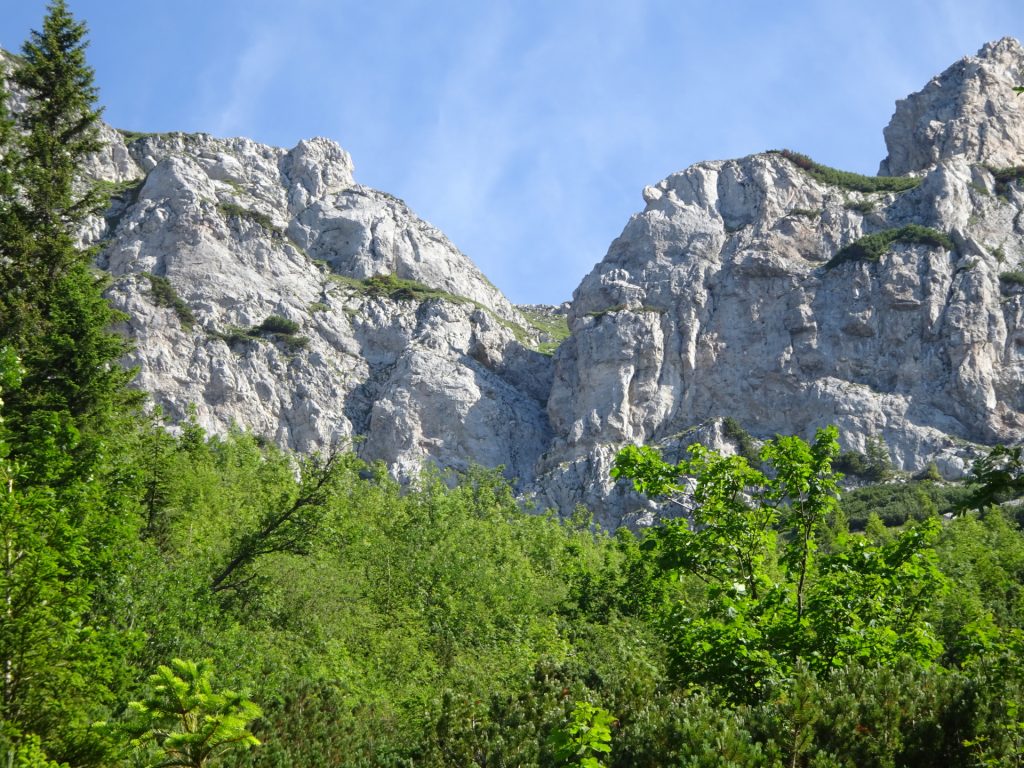View from trail towards Rax