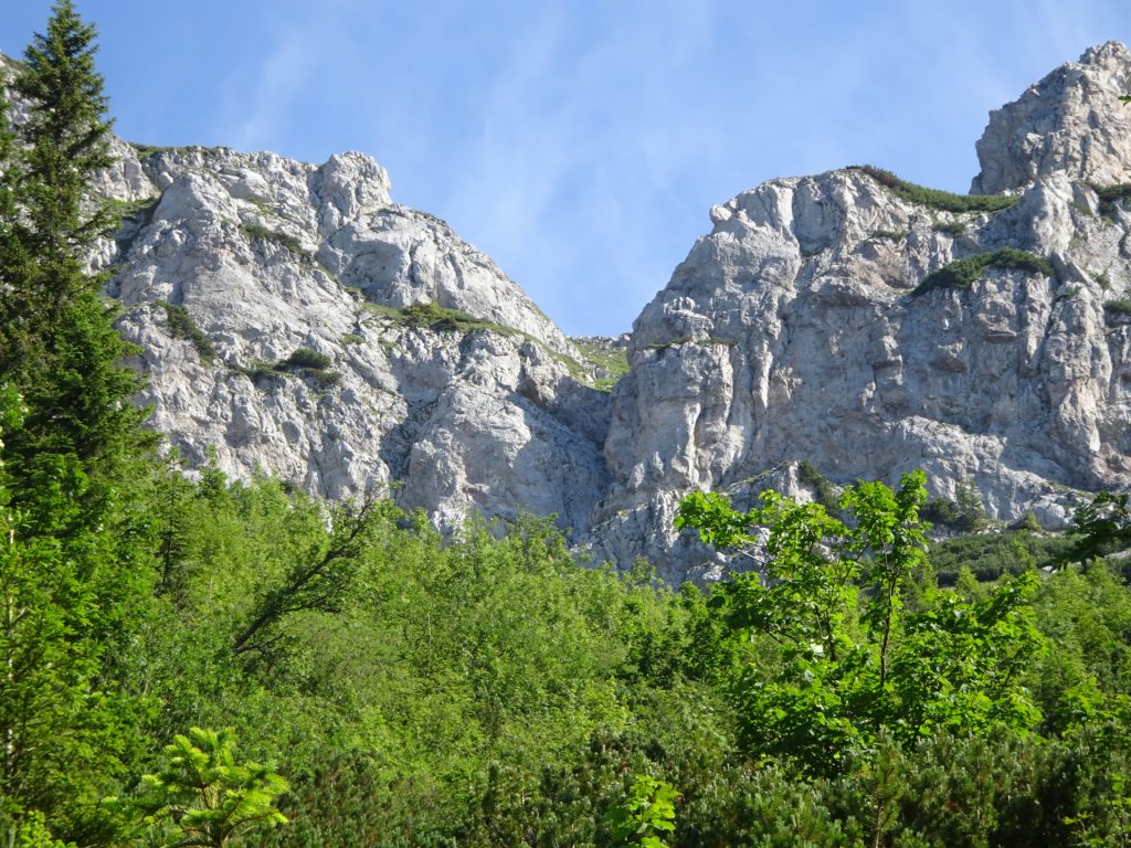 View from trail towards Rax