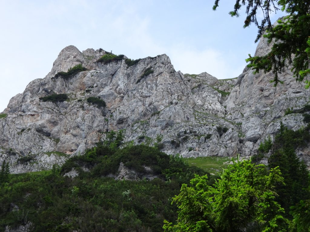 View towards Rax from trail