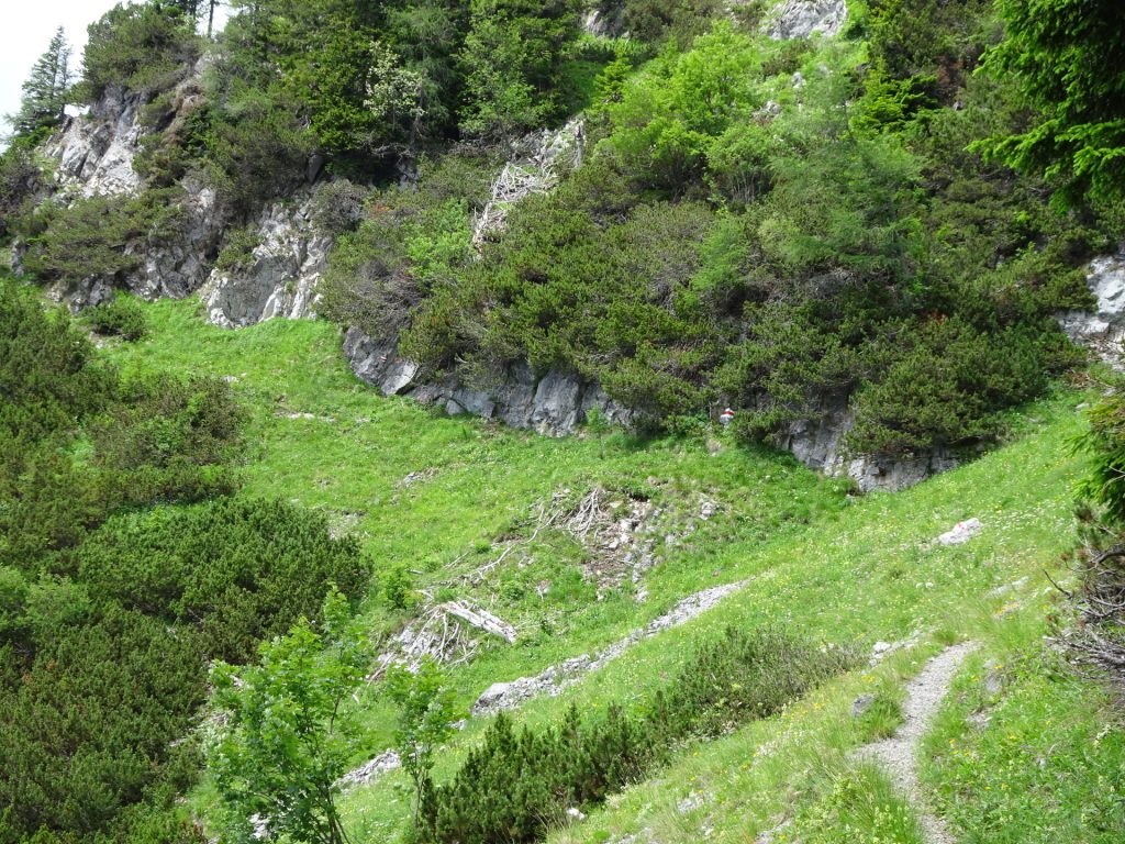 Trail towards Fuchsloch