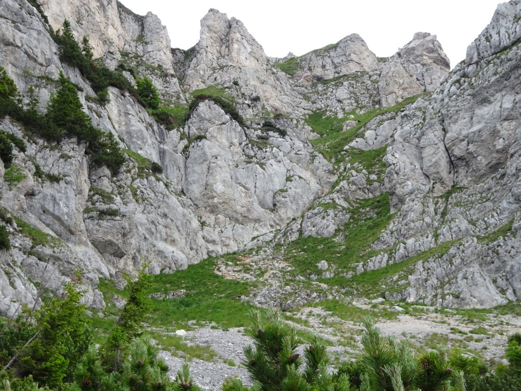 View from trail towards "Fuchslochsteig"