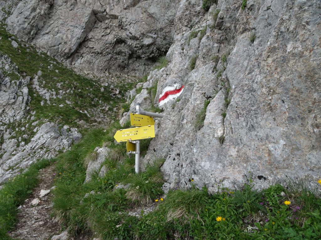 Right around the cliff starts the "Fuchslochsteig" climbing part