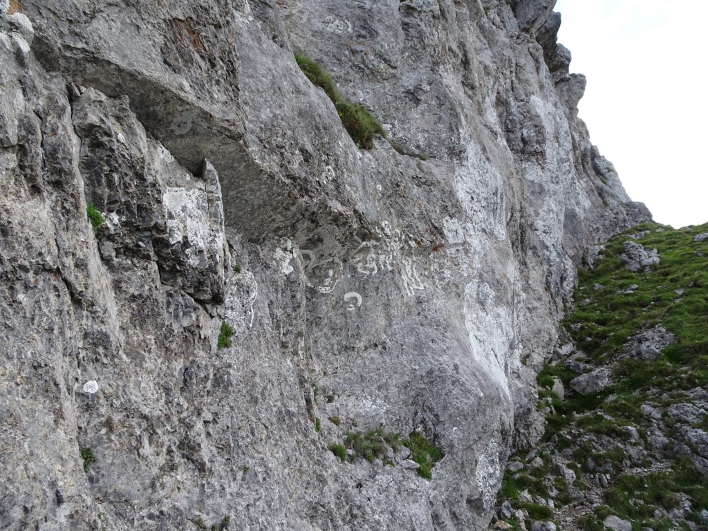 Interesting natural markings in the rock