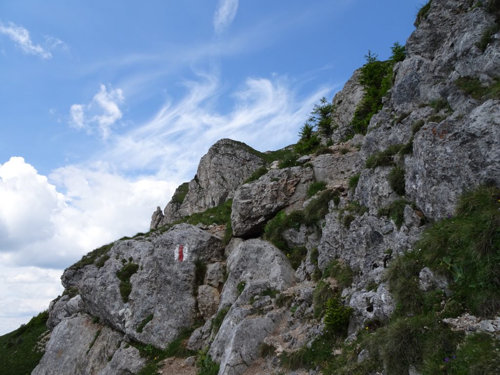 "Fuchslochsteig" (follow the red markings)