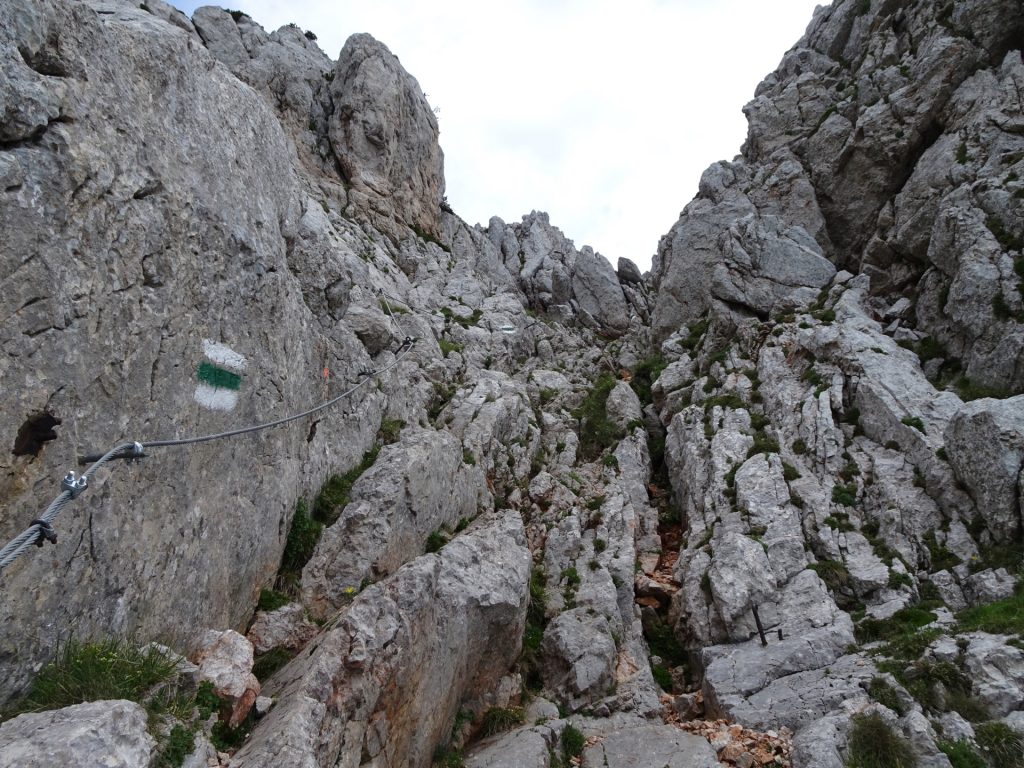 The "Gretchensteig" (looking upwards)