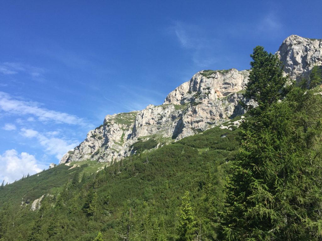 View upwards to Rax from "Reißtalersteig"