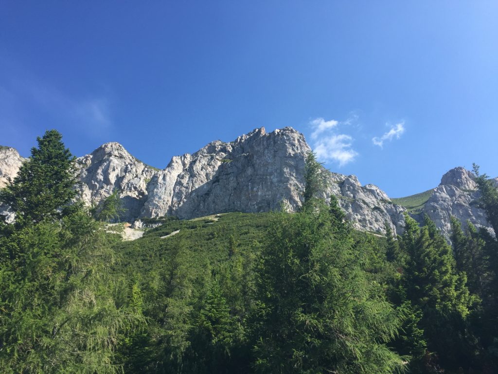 View upwards to Rax from "Reißtalersteig"