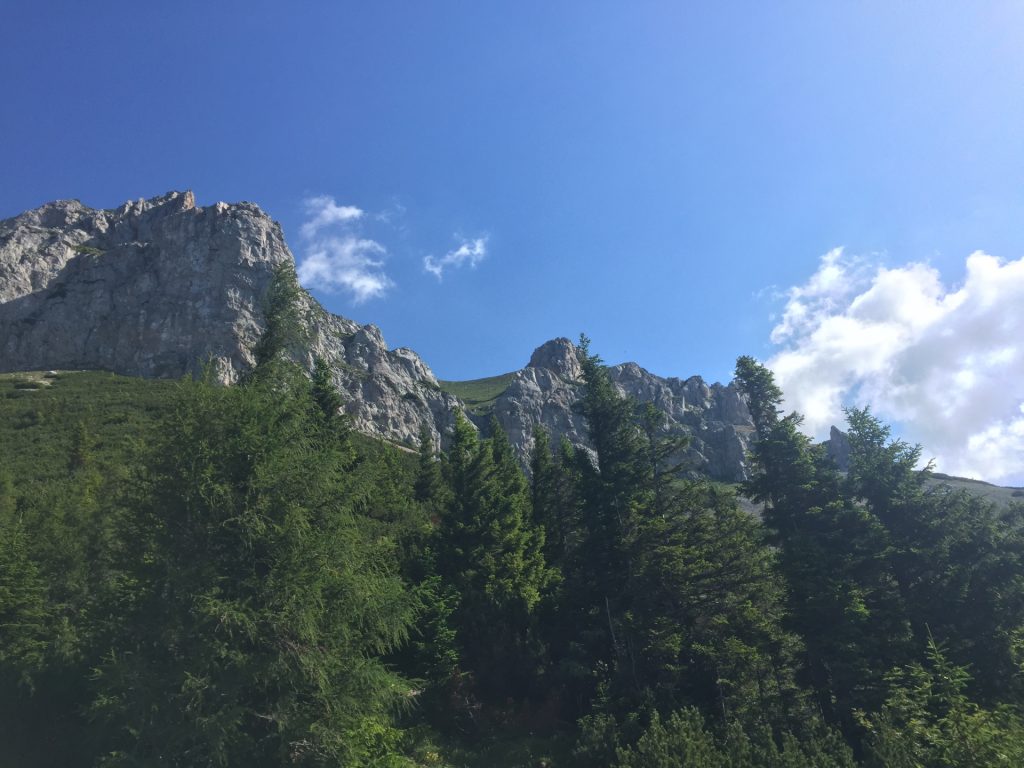 View upwards to Rax from "Reißtalersteig"