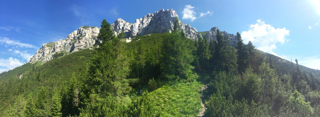 Panoramic view upwards to Rax from "Reißtalersteig"