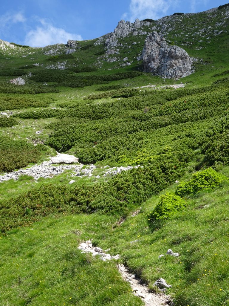 Trail towards "Heukuppe"