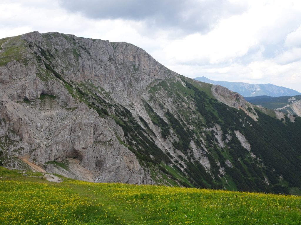 View towards "Predigtstuhl" and the "Bismarcksteig"