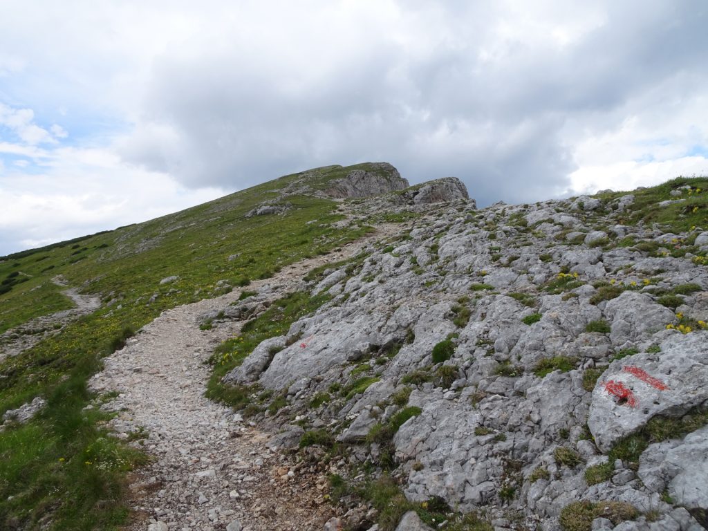 Trail upwards to "Predigtstuhl" (after Toerl)