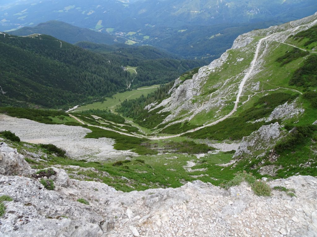 View from the trail