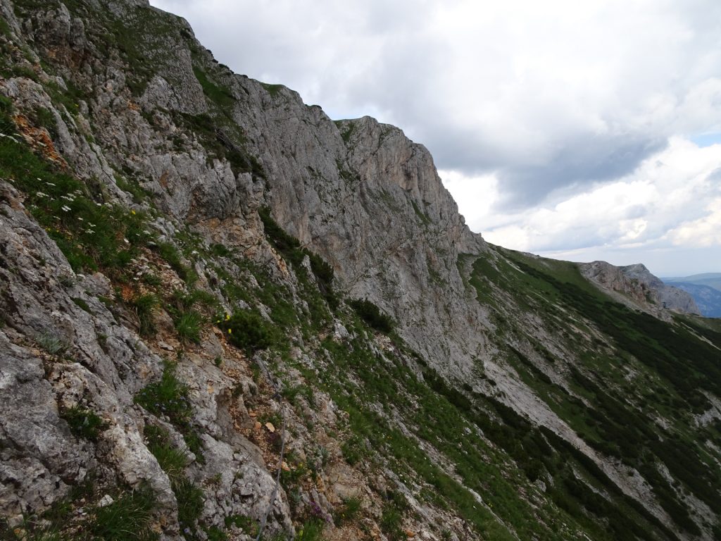 The "Bismarcksteig"