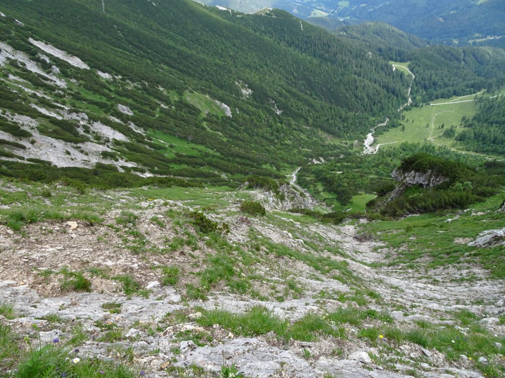 View downwards from "Bismarcksteig"