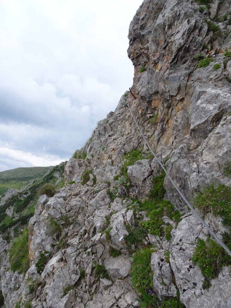 View back from "Bismarcksteig"