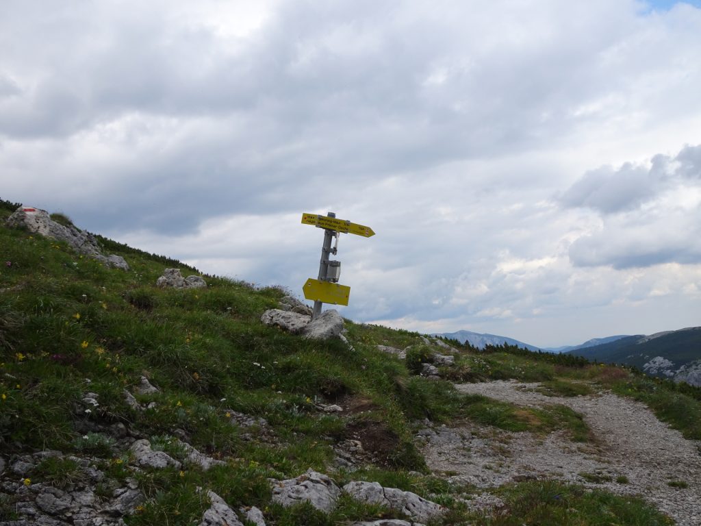 Towards the crossing to "Waxriegelsteig"