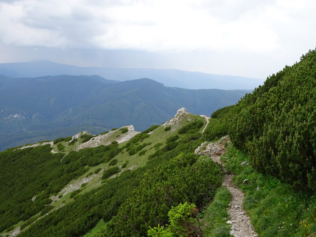 Descending via "Waxriegelsteig"