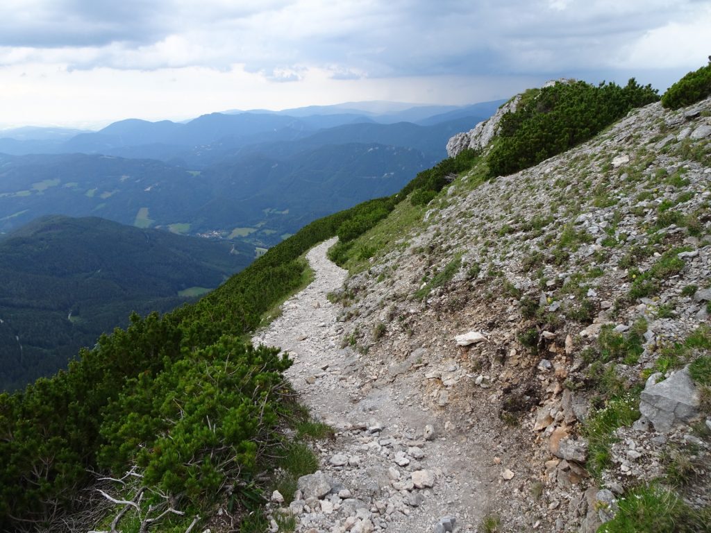 Descending via "Waxriegelsteig"