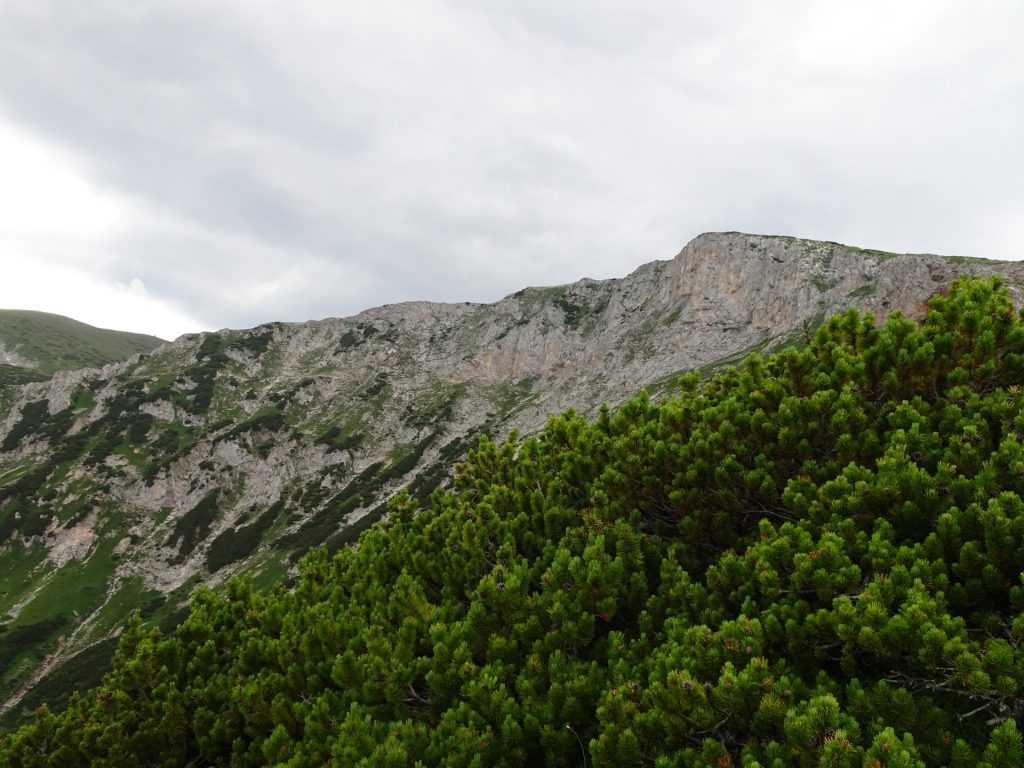 View back to "Bismarcksteig"