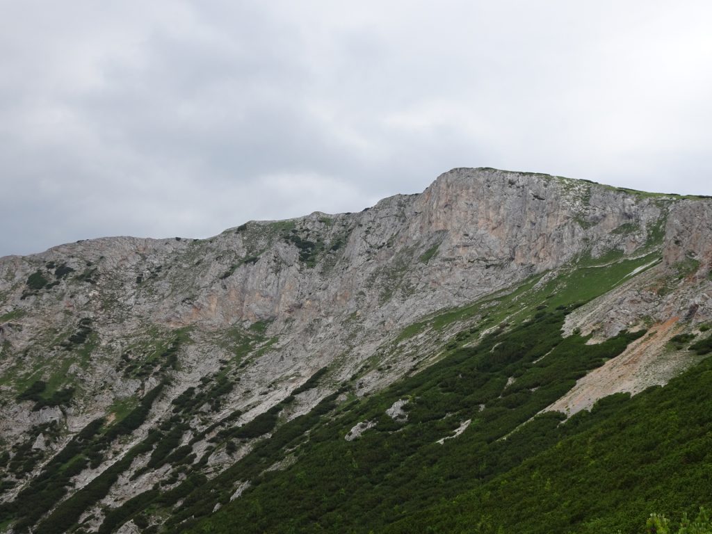 View back towards "Bismarcksteig"