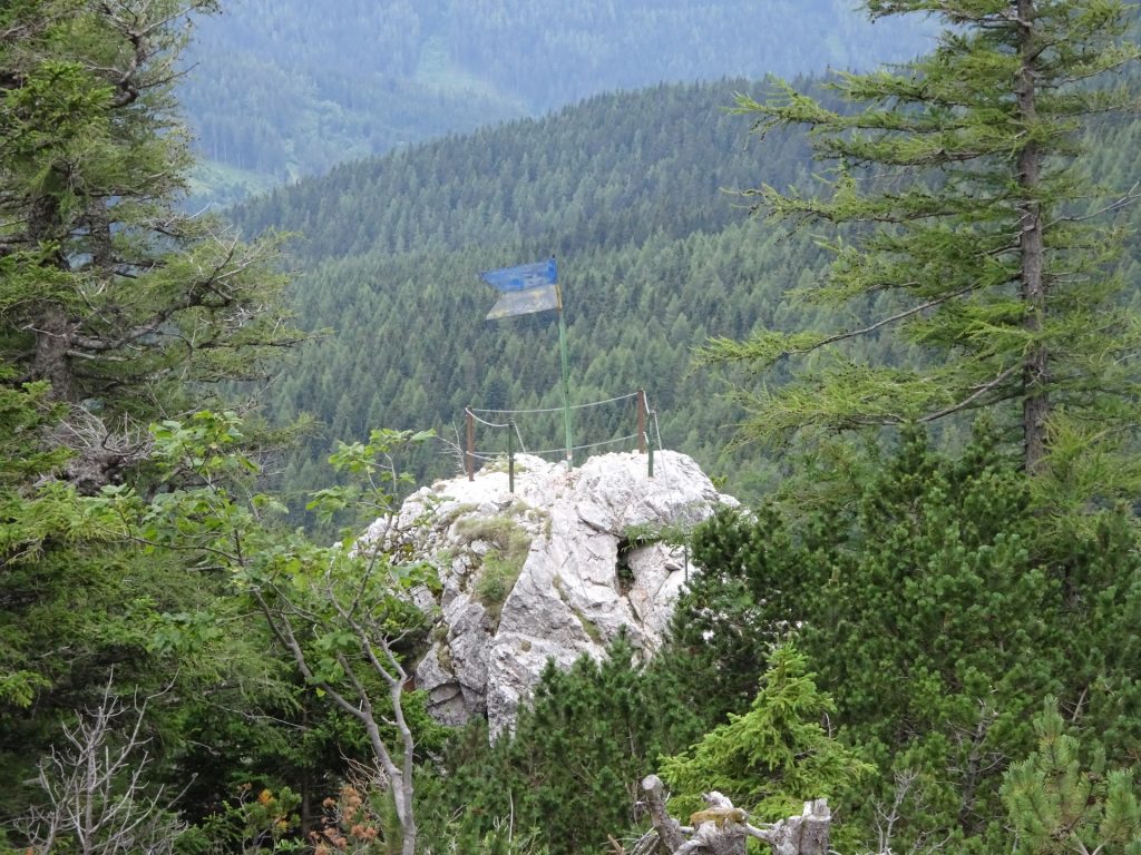 The "Entenhügel" (climbing park)
