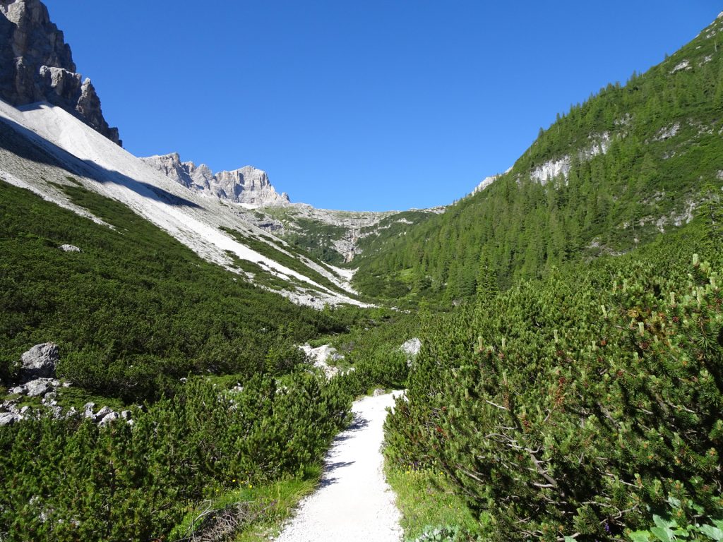 Trail through "Altsteintal" (from the "Talschlusshütte" towards the "Dreizinnenhütte")