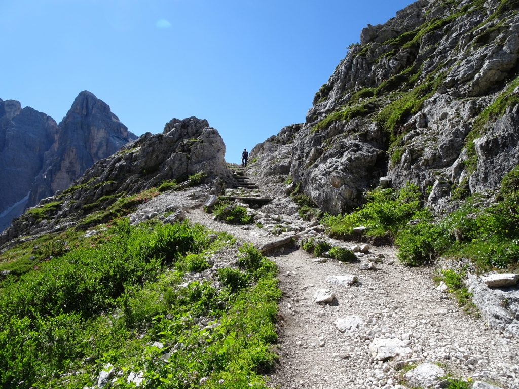 Trail through "Altsteintal" (from the "Talschlusshütte" towards the "Dreizinnenhütte")