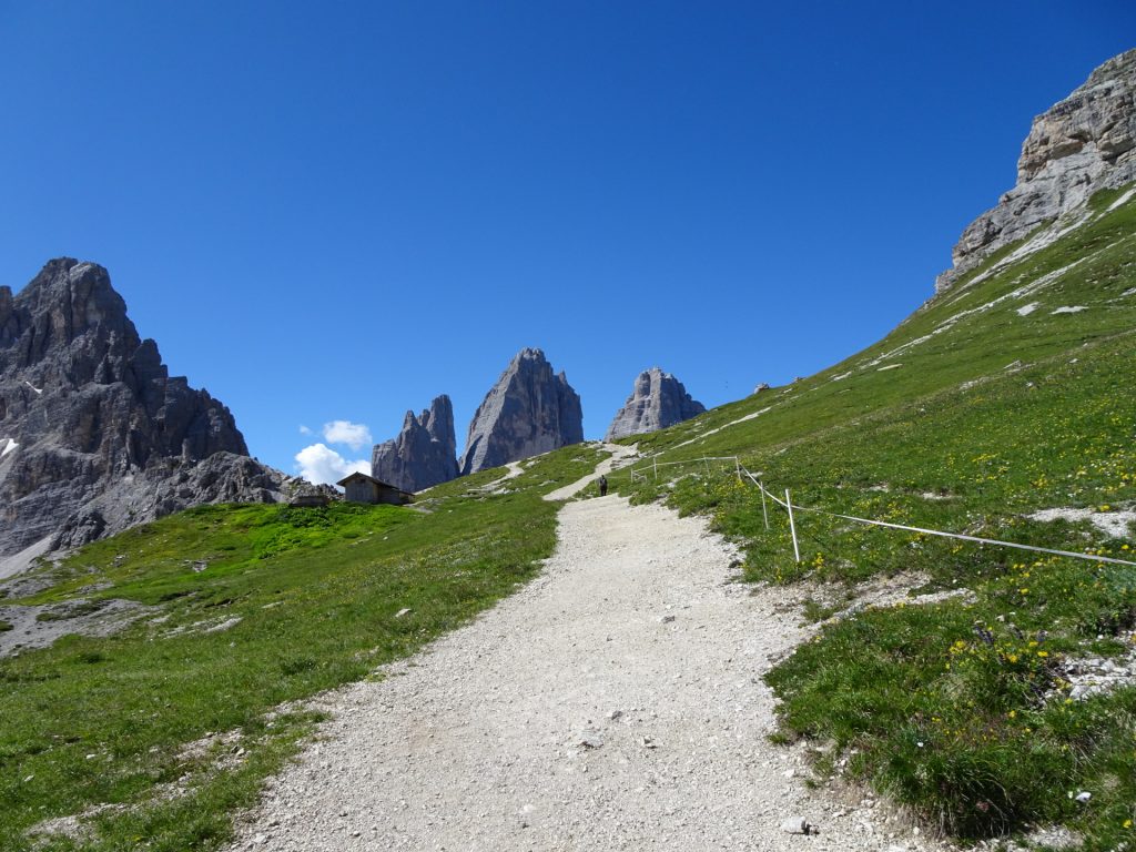 Trail towards "Dreizinnenhütte"