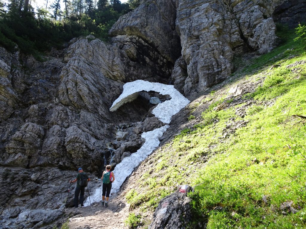 Still some snowfields on the trail