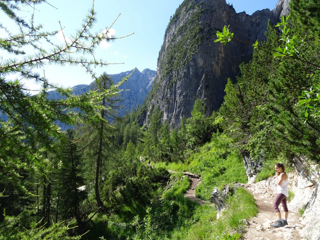 Trail 216 towards Sorapissee