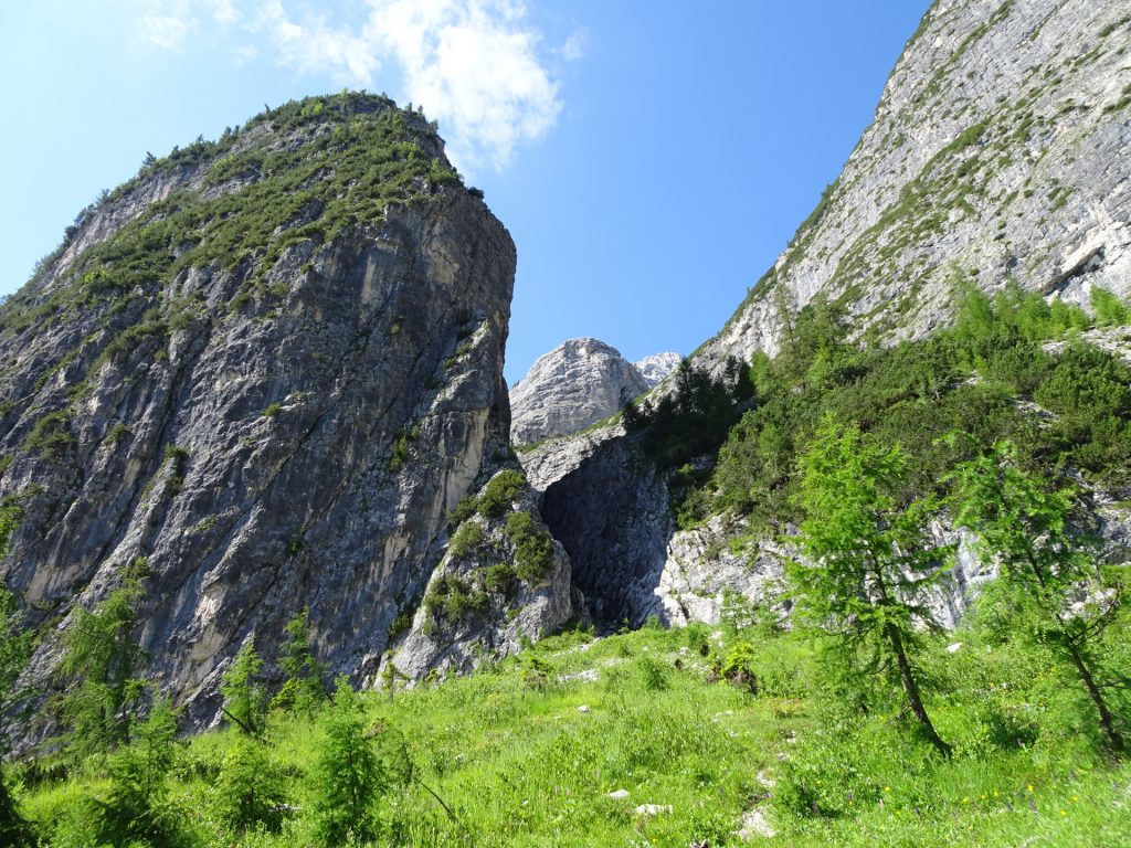 View from trail