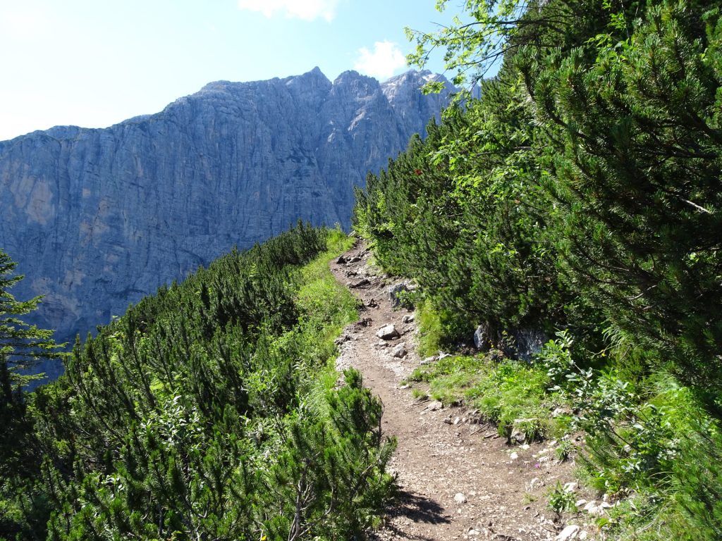 Trail 216 towards the lake