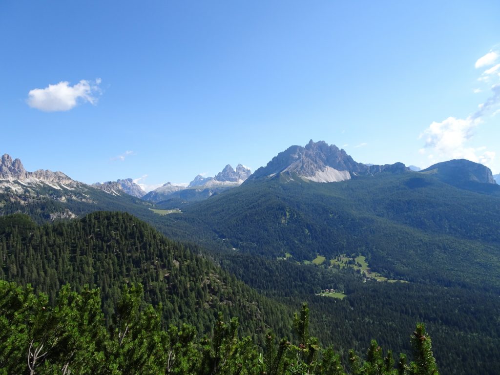 Amazing surround view from the trail