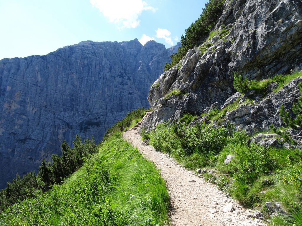 Trail gets narrower and more alpine