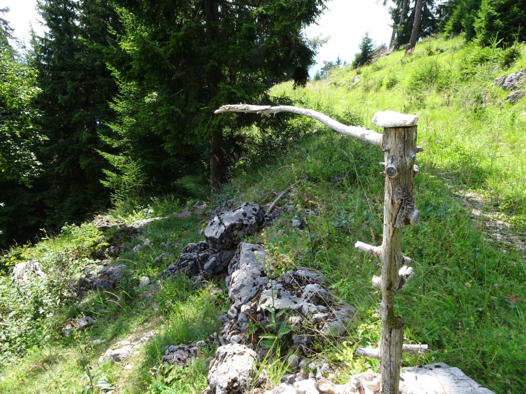 This is a signpost!!! Turn left here and follow the small trail downwards to "Rannerwand"