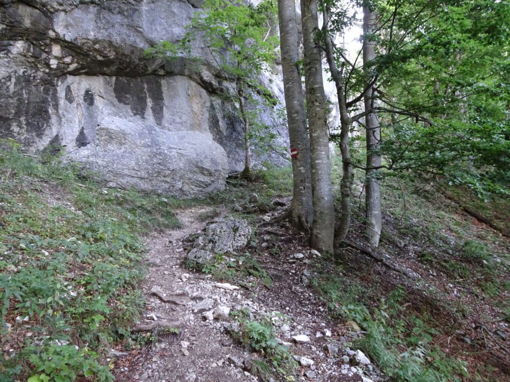 Trail towards "Hochschwab"