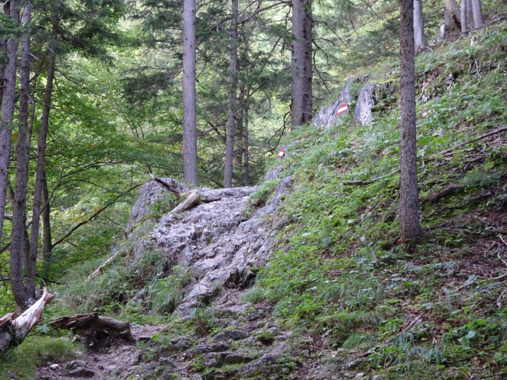Trail towards "Hochschwab"