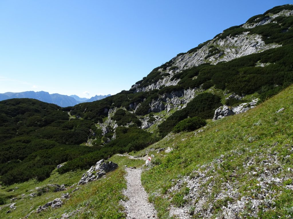 Trail towards "Häuslalm"