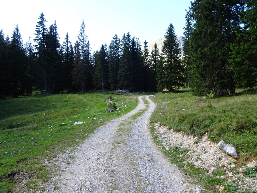 Follow the trail on the left towards the "Sonnschienalm"